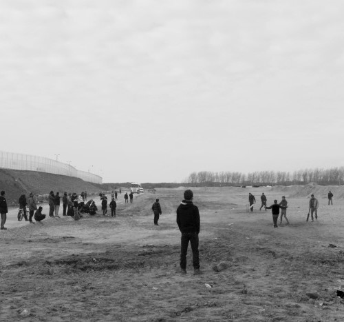 Beatrice Lily Lorigan