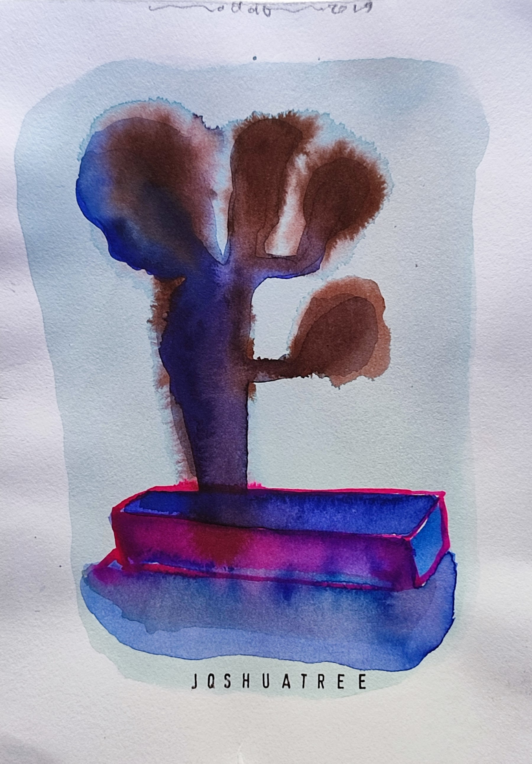 Joshuatree ++