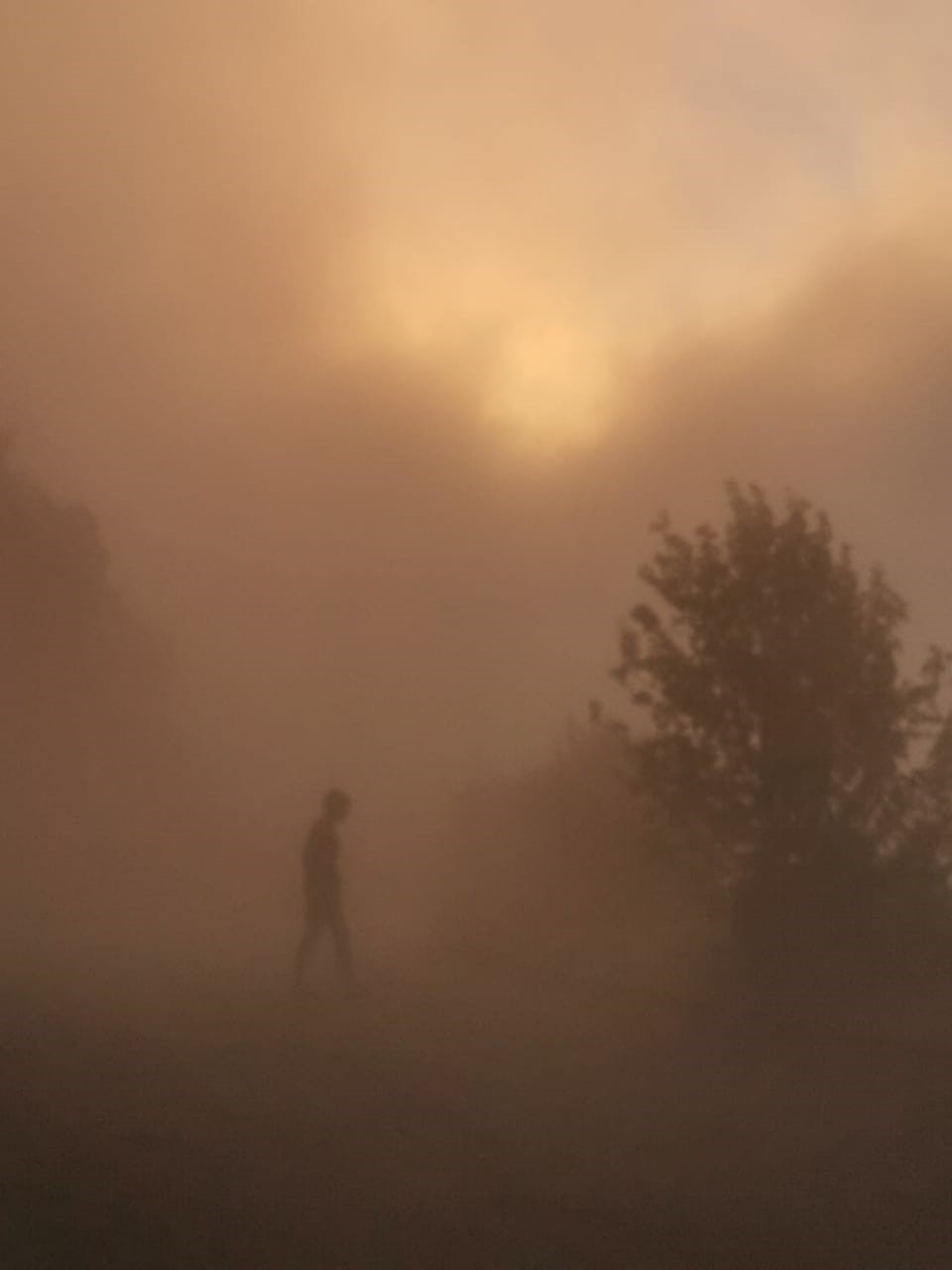 Sans titre, jusqu’&agrave; ce jour