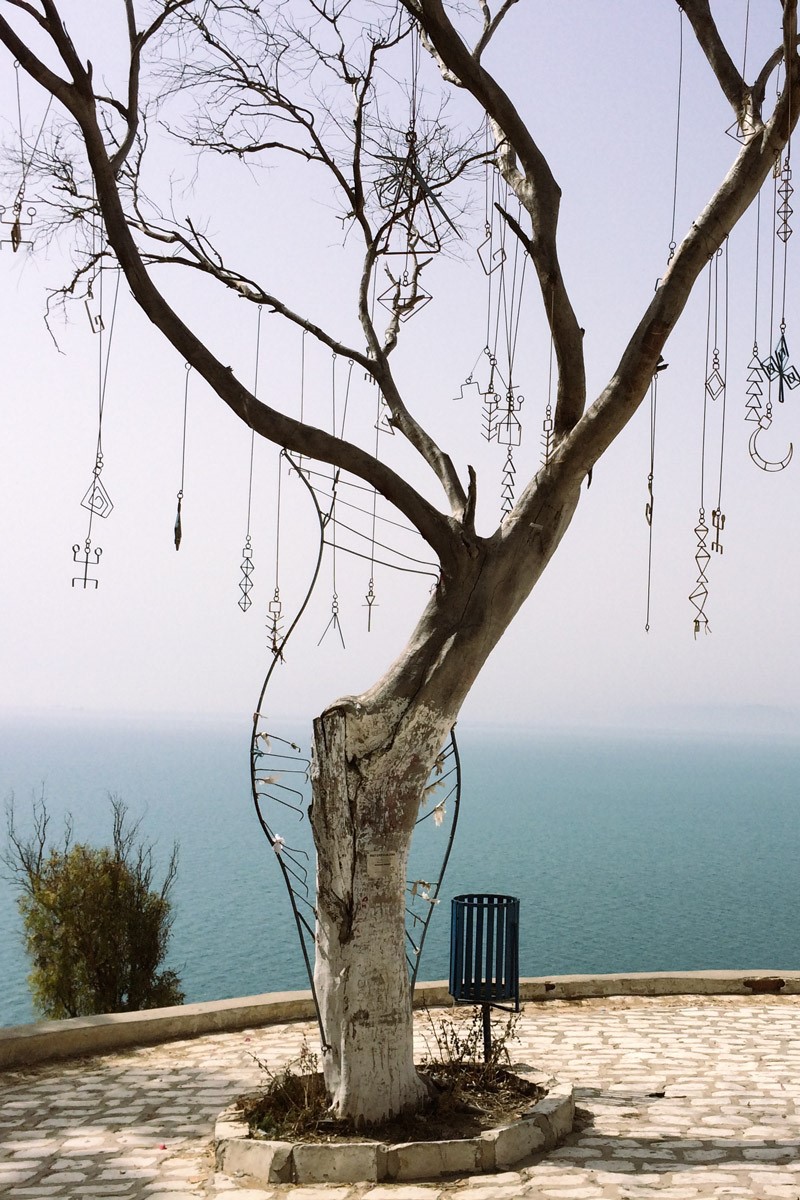 Sidi Bou Sa&iuml;d, Tunisie