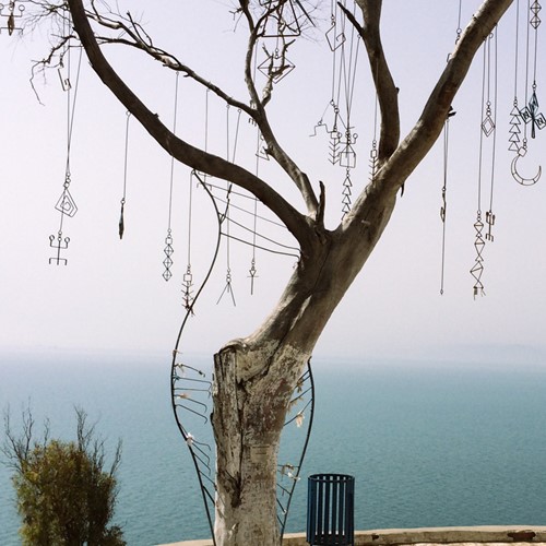 Sidi Bou Sa&iuml;d, Tunisie