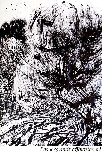 Les « grands effeuill&eacute;s » 