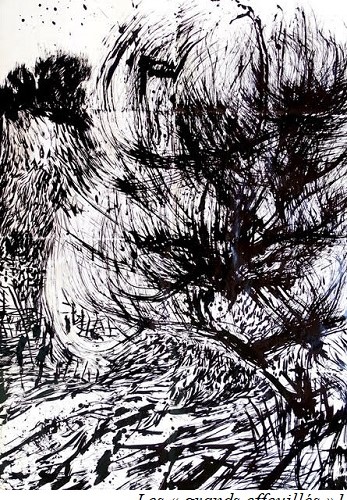 Les « grands effeuill&eacute;s » 