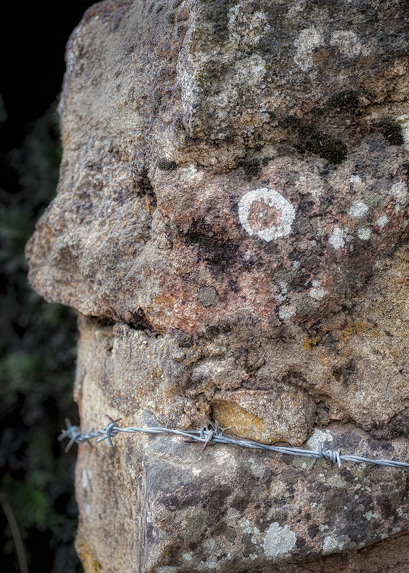 Rocher Corse environs de Tizzano 